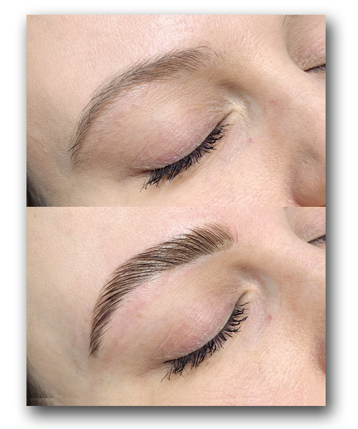 Earth Esthetics