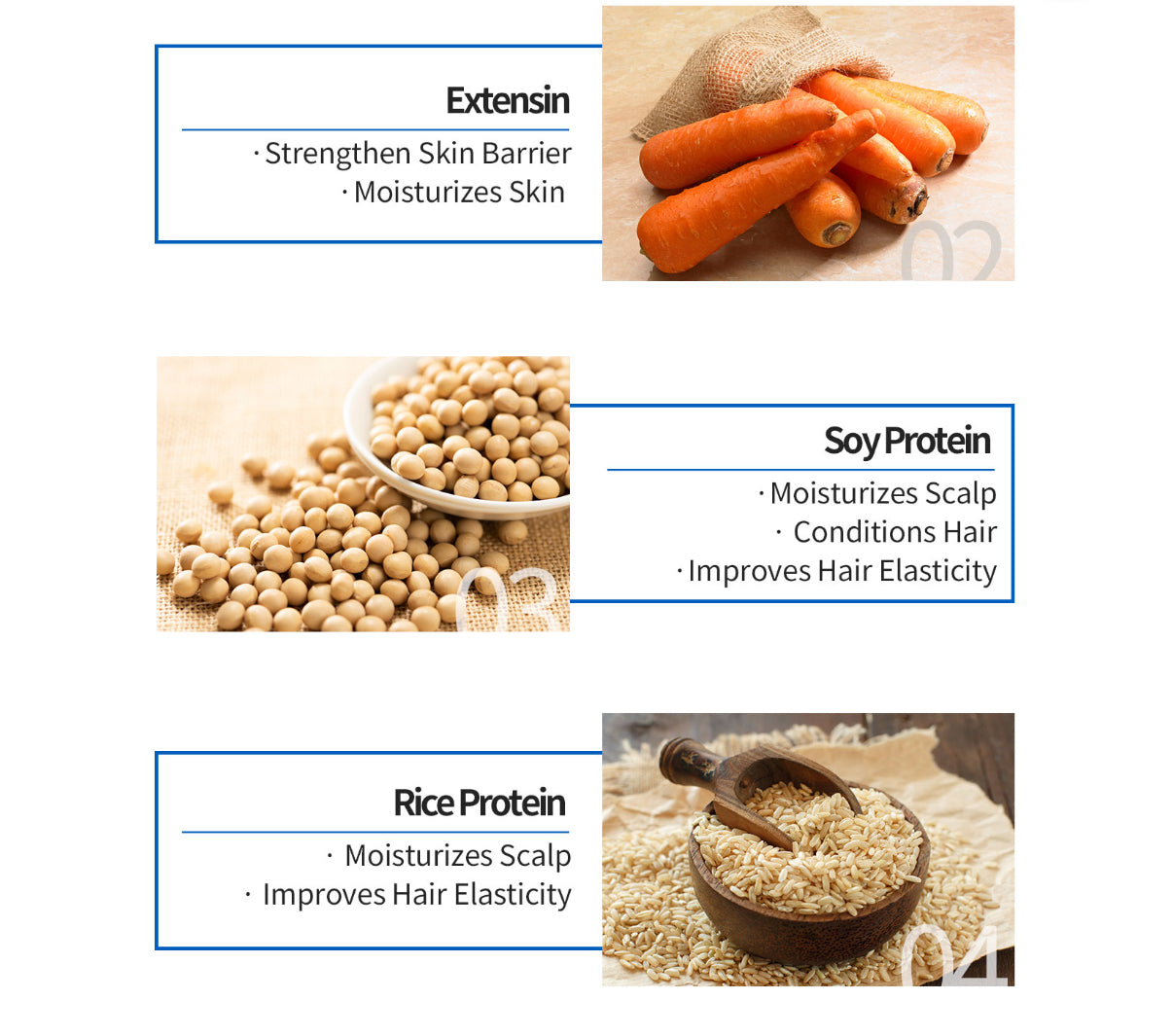 501 Shampoo- Hair Loss